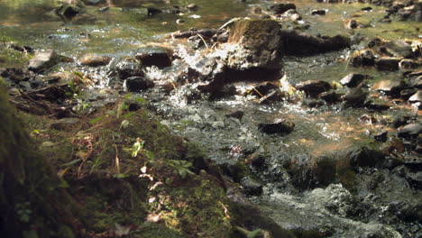 Video-Eines-Wasserlaufs-In-Der-Natur