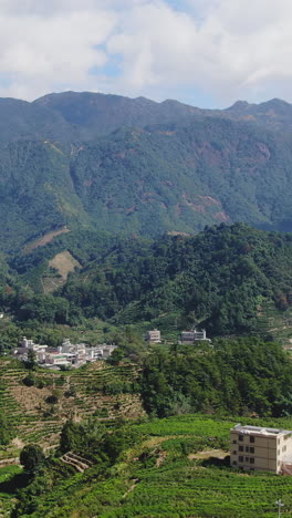 mountainous landscape with tea plantations