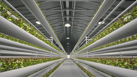 vertical hydroponic farm