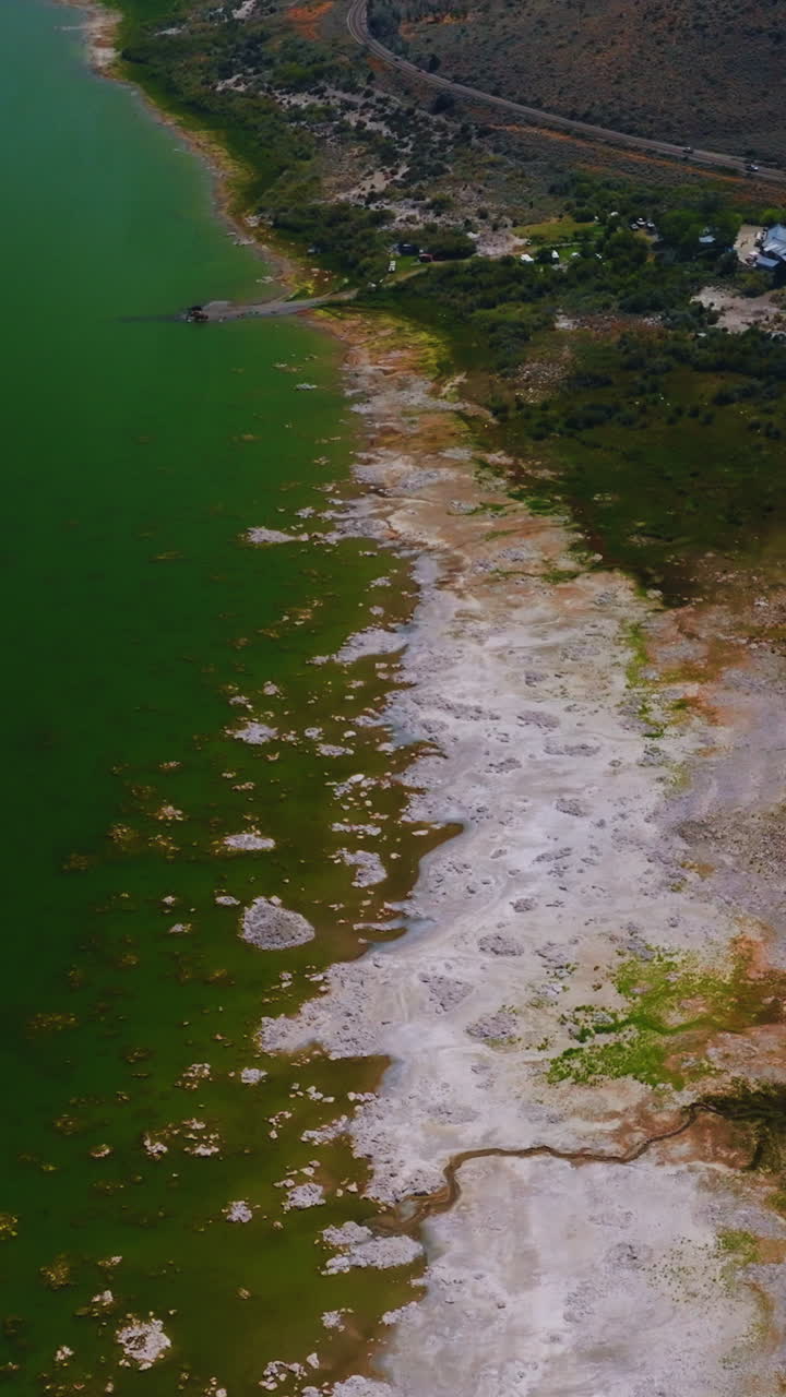 Beautiful scenery of Mono Lake, California, United States. White salty scurf on the waterfront verging with green grass and then mountain. Vertical video