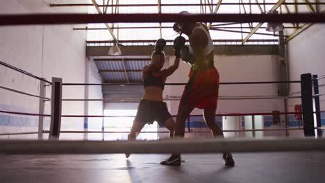 two mixed race women training in boxing ring