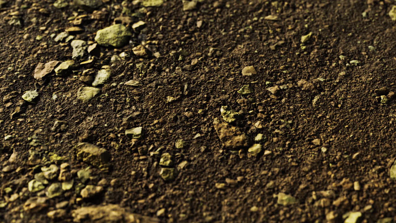 Textured soil with pebbles and rocks in natural environment during daytime