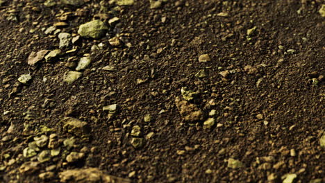 textured soil with pebbles and rocks in natural environment during daytime