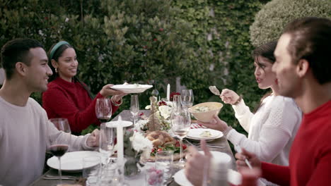 friends enjoying a festive outdoor dinner party