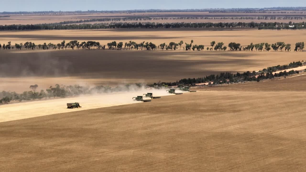 cosecha de grano de amplia hectárea en el oeste de australia