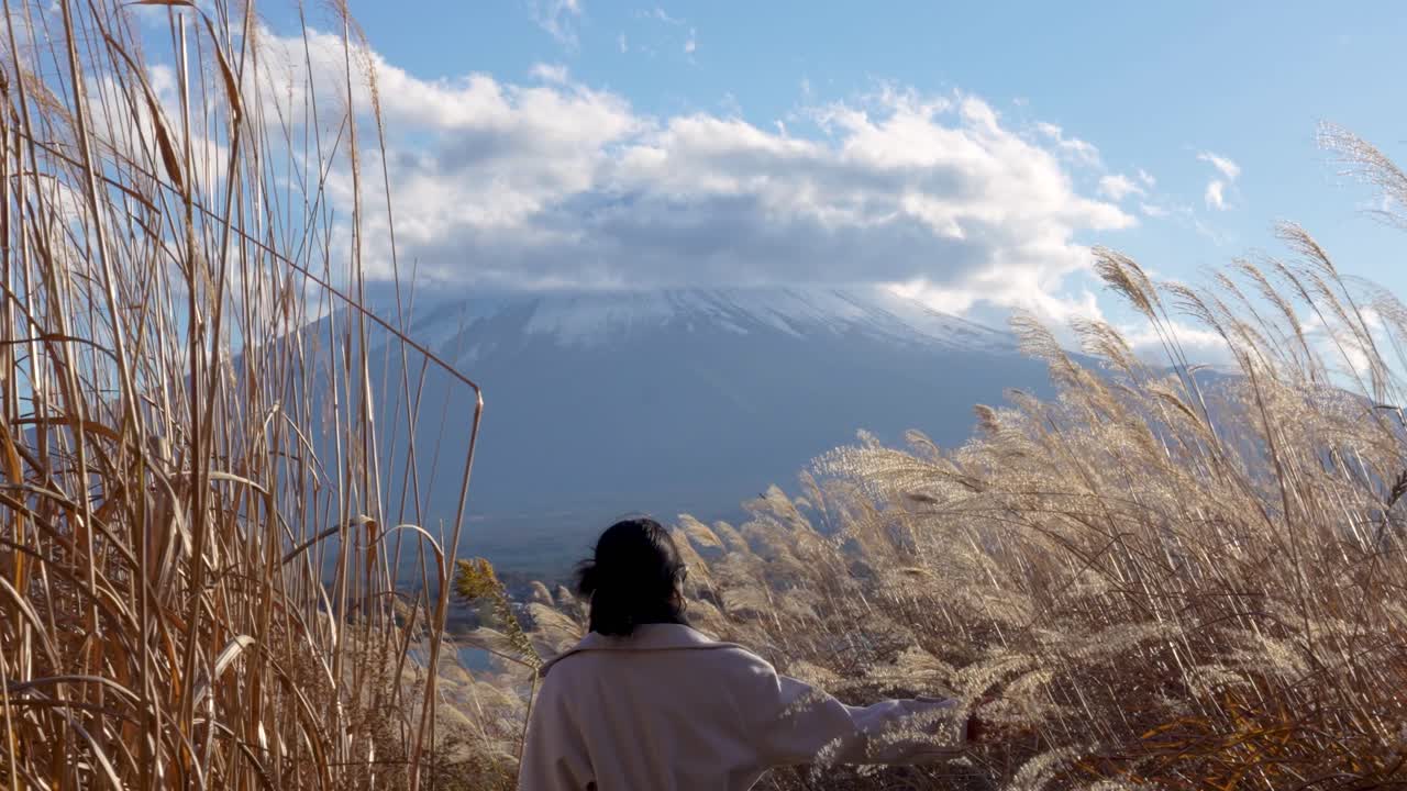 Female Walking Through Wheat Field with Mount Fuji in the Background in Japan