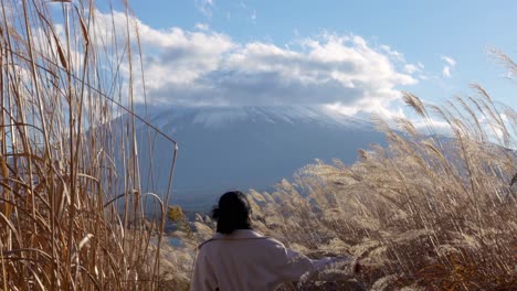 female walking through wheat field with mount fuji in the background in japan