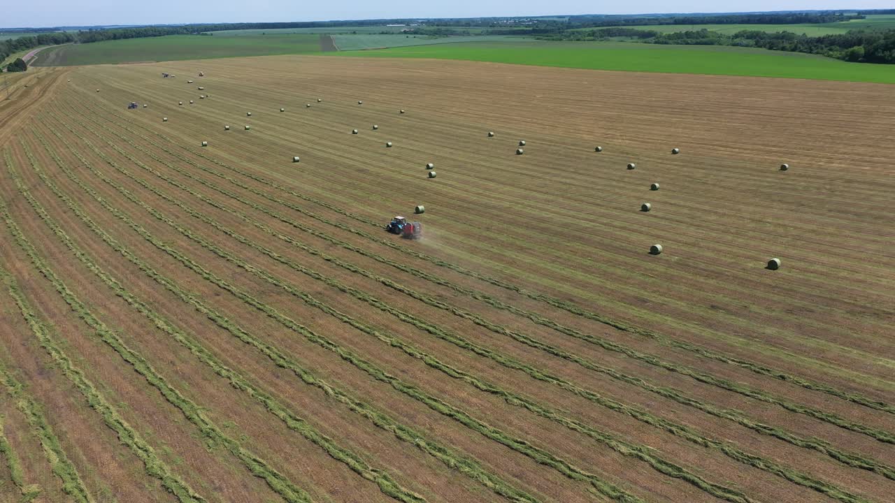 둥근 러 가 수확 도중 신선 한 밀 어리 를 배출 하는 것