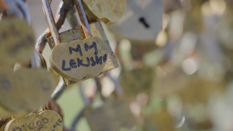 close-up von liebes-hängeschlössen auf einem metallzaun in paris, frankreich