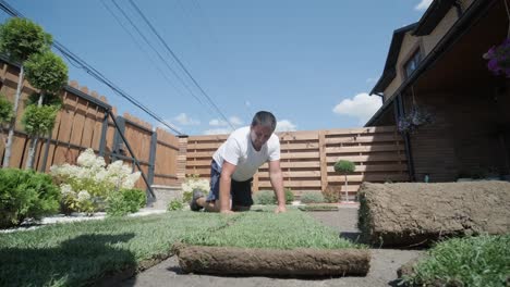 jardinero colocando un rollo de césped natural
