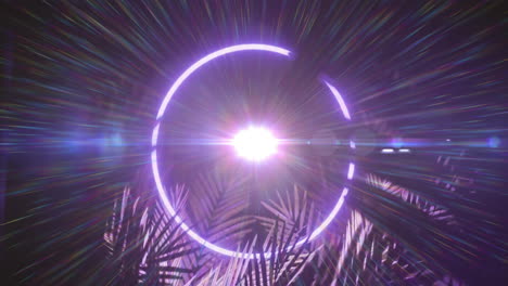 animation of light trails over neon circle and leaves on black background