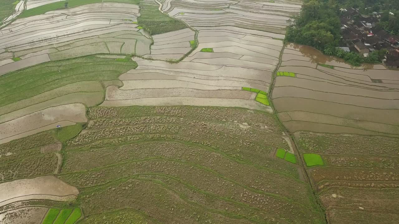 sobrevuelo aéreo inundado campos de arroz y paddys en indoensia durante el día soleado - hermoso patrón desde arriba -