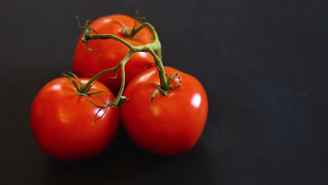 la mano del hombre caucásico recogiendo una rama con tres tomates