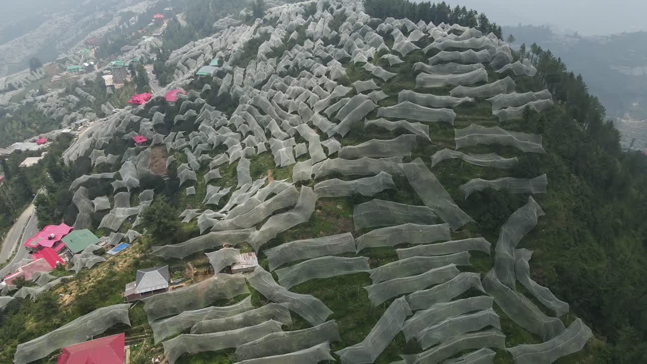 imagen aérea de drones de las granjas de manzanas en himachal pradesh.