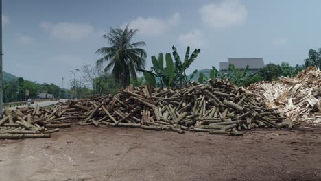 wood piles at a sawmill or lumber yard