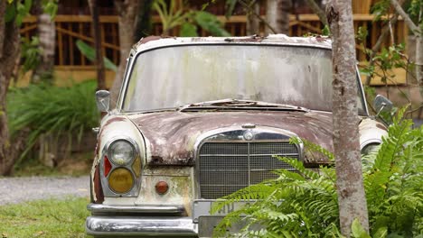 viejo mercedes benz oxidado en un jardín