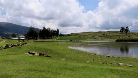 caminando alrededor del lago con hierba