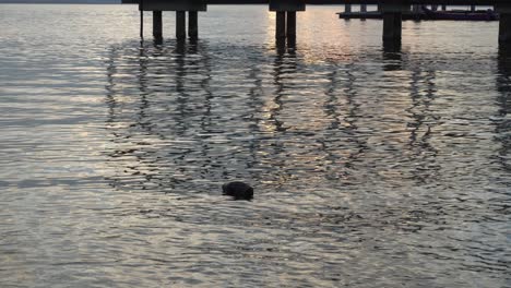 flujo de basura en el mar con fondo muelle de pescadores