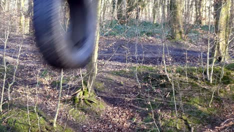 childhood tyre rope swing hanging in autumn woodland playground