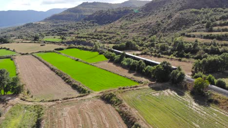 Aerial:-old-diesel-train-traveling-along-fields-under-summer-blue-sky-with-some-clouds-on-a-sunny-day