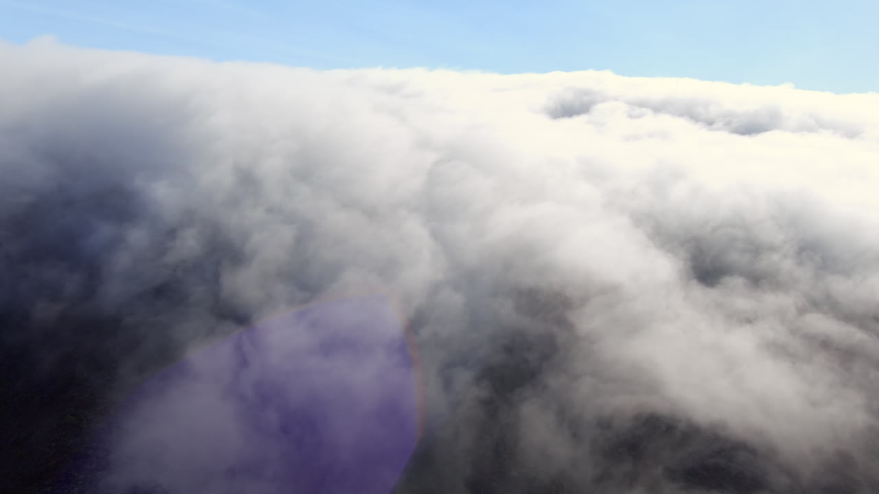 arrastrándose karl la niebla sobre el parque estatal de montaña san bruno cerca de la bahía de san francisco en california, estados unidos