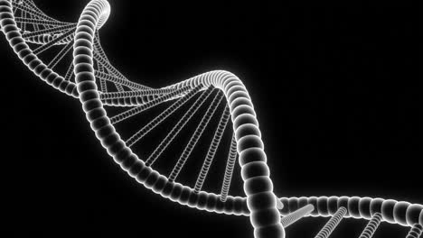 dna double helix