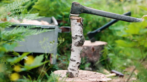 close side view of log of birch wood being cut with axe, slow pan