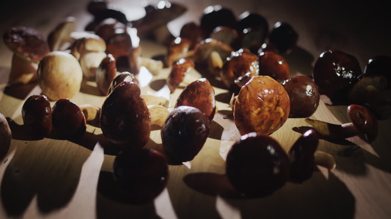 muchos hongos silvestres deliciosos se encuentran en la mesa, un ingrediente para platos gourmet