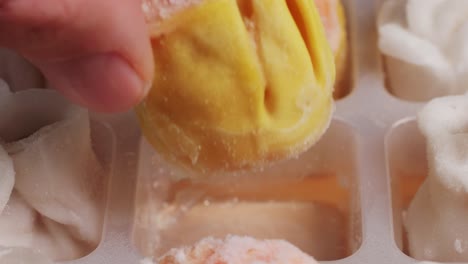 various of frozen dim sum close-up macro. food to take away. chinese dessert food. dimsum with shrimps, fish and meat. dish in a cafe. delivery