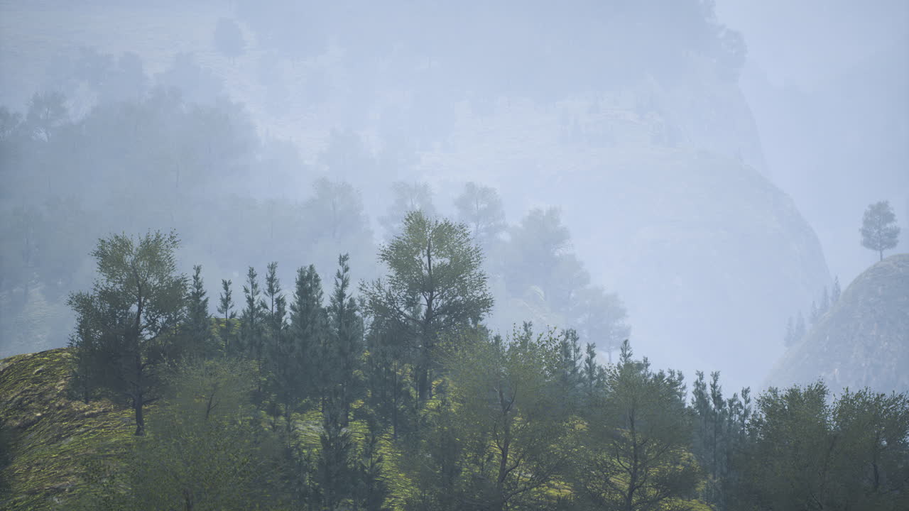 Misty landscape with trees on a hillside in serene morning light