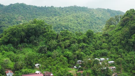 Vuela-Sobre-La-Ciudad-Costera-En-Un-Abrazo-De-Exuberante-Jungla.