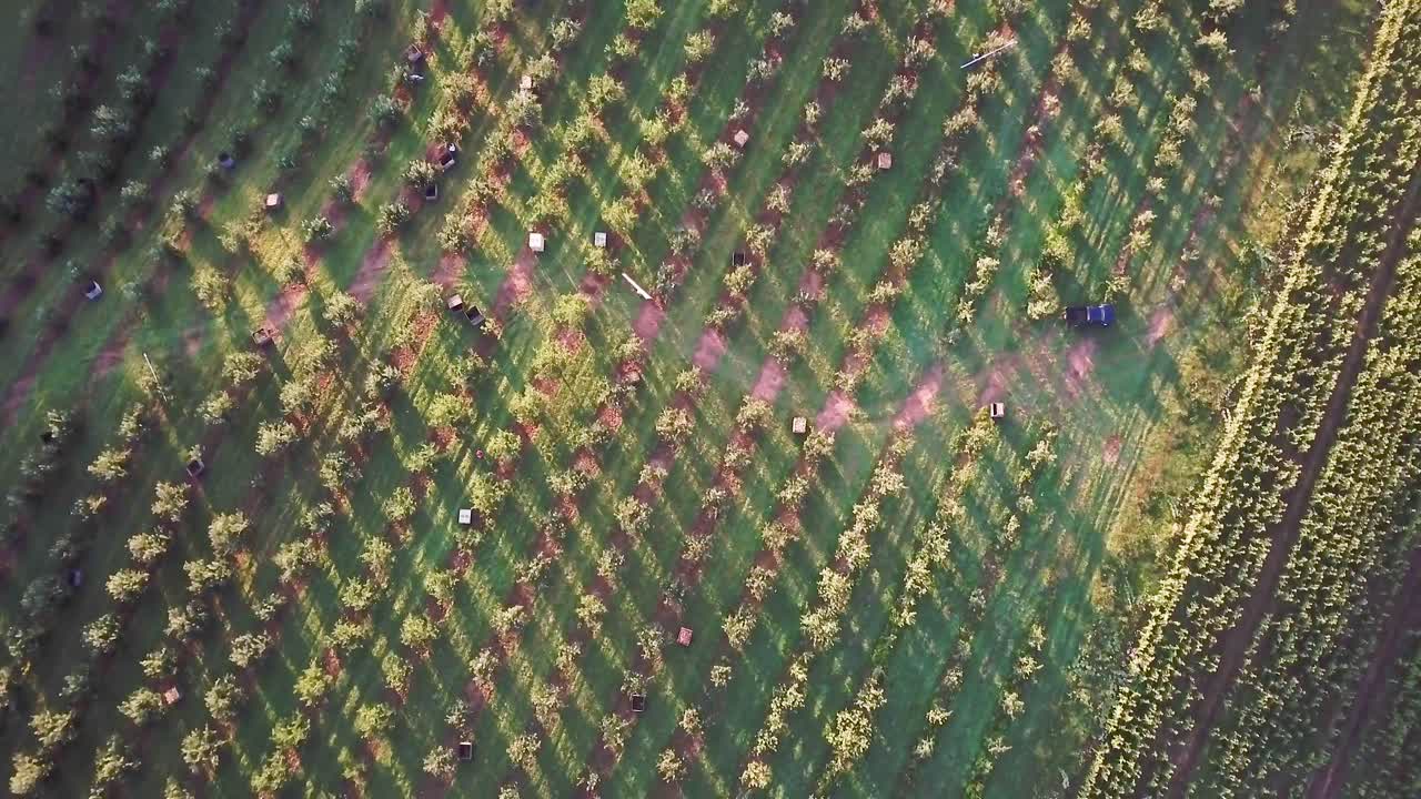 una vista aérea de un huerto