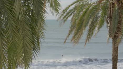 Surfers-dudes-ride-waves,-fall-over-as-palm-leaves-sway-in-the-foreground