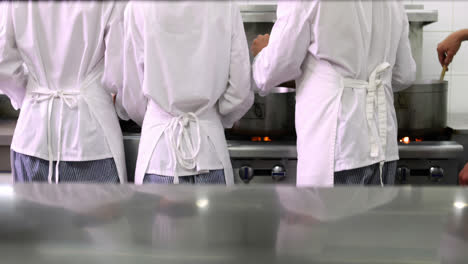 rear view of busy chefs at work