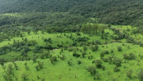 drone flying over the open grasslands and jungle patches at foothills of the western ghats during monsoon