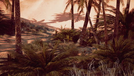 paisaje de oasis con palmeras