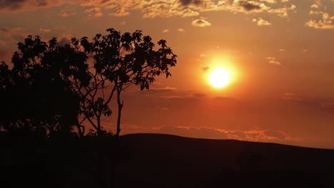 Sol-Amarillo-Poniéndose-En-El-Horizonte-Detrás-De-La-Forma-Negra-De-Un-árbol