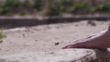 person examining ancient ground