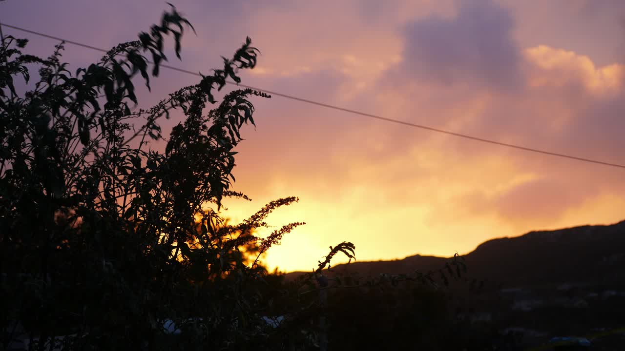 Glowing fiery sunset clouds blowing over silhouetted mountain peak and foreground wildflowers