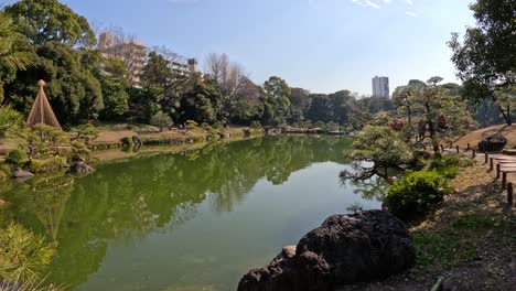 a serene walk through a picturesque park