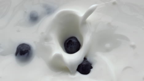 blueberries falling splashing lactose beverage closeup. berries floating milk