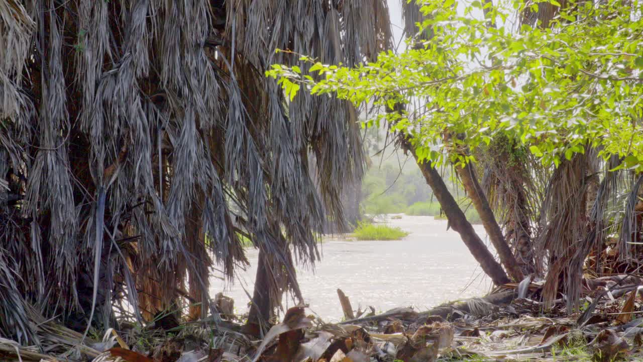 A river running through northern Namibia