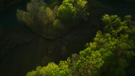 Exuberante-Vegetación-Alrededor-Del-Lago-Sequoyah,-Arkansas,-Estados-Unidos,-Con-Un-Río-Tranquilo,-Vista-Aérea