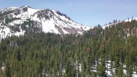 Aerial-shot-over-evergreen-forest-towards-snow-capped-mountains