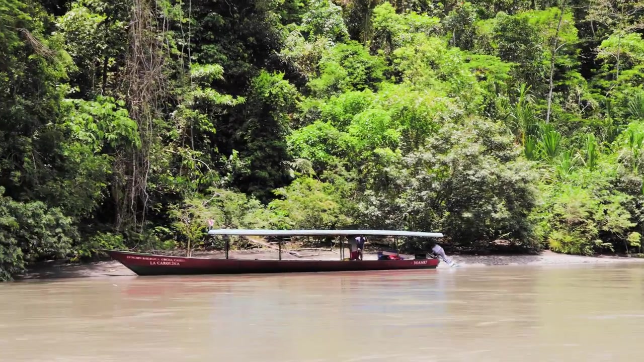 Peru, Güney Amerika'daki Amazon Nehri'nde Panoramik Gezi