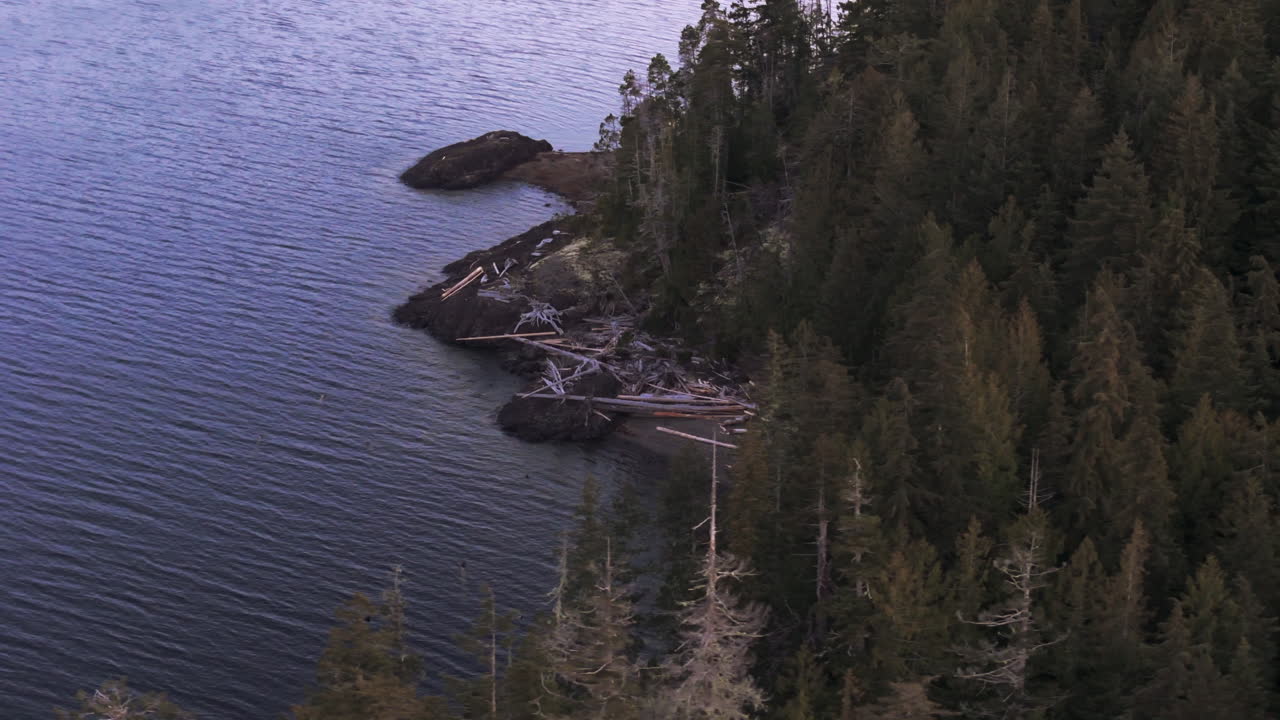 serenidad del bosque: vista de pájaro del lago nimpkish y el bosque tropical