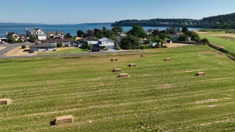 Toma-Aérea-De-Un-Campo-De-Alfalfa-Que-Se-Ha-Cosechado-Recientemente-Con-Casas-Frente-Al-Mar-En-La-Distancia