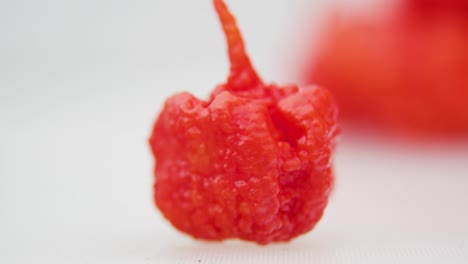 a vertical shot of a fresh red carolina reaper chili pepper on a white surface