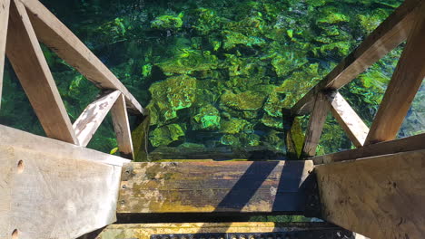 Escaleras-De-Madera-Y-Agua-Esmeralda-De-La-Piscina-Natural-Del-Cenote-Mexicano-En-Un-Día-Soleado