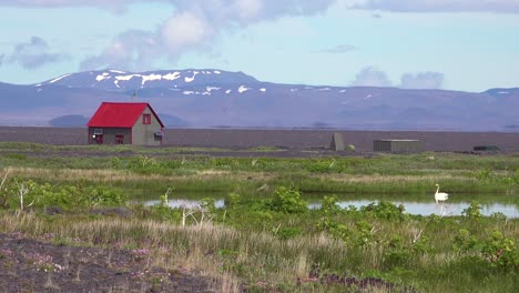 a remote house or structure in iceland interior highlands with swan on lake nearby